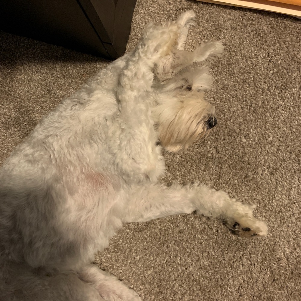 Meet your Posher, Christie